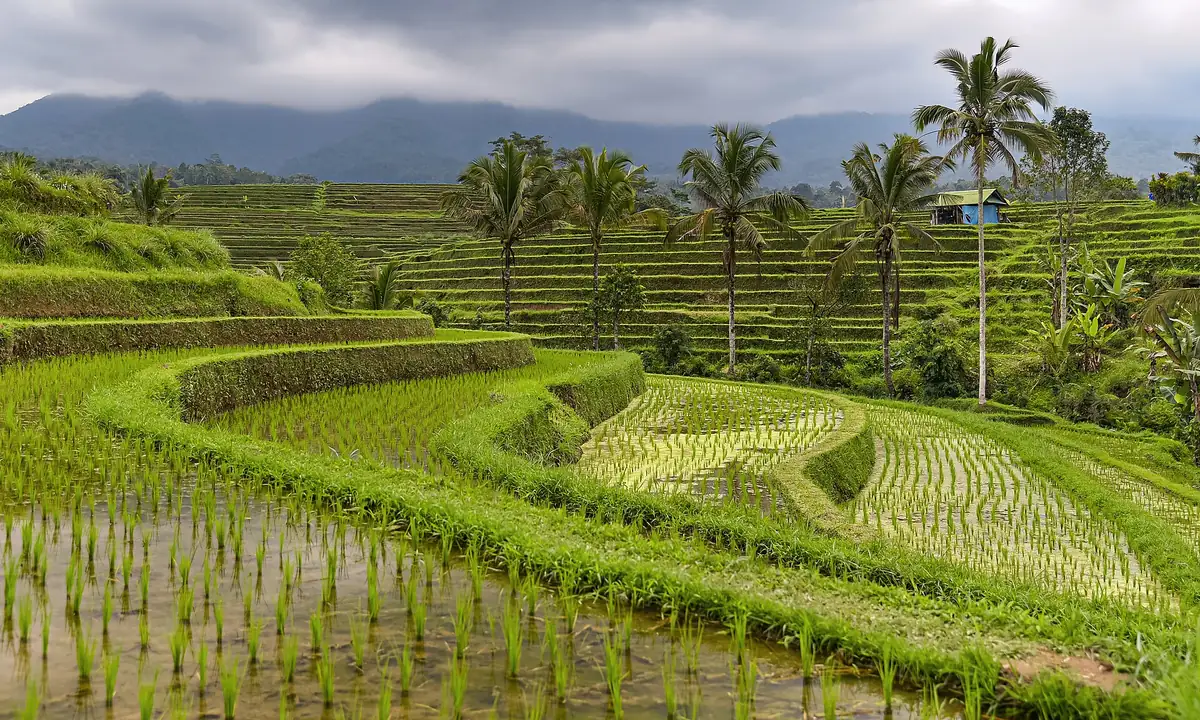 West Bali